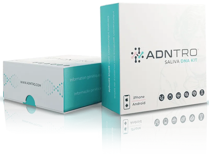 caja-adntro-